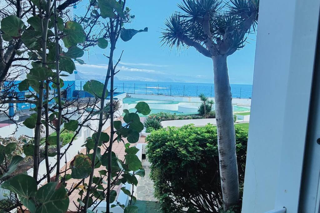 Cerca Del Mar En Mesa Del Mar * Tacoronte